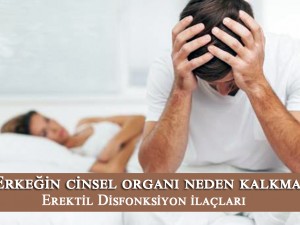 Erkeğin cinsel organı neden kalkmaz